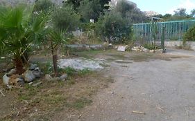 The Garden